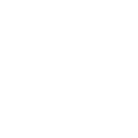 ico 01 Seguridad 24/7