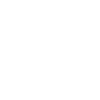 ico 02 Entrada con portón